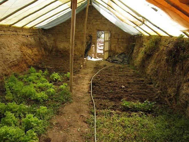 underground greenhouse year-round