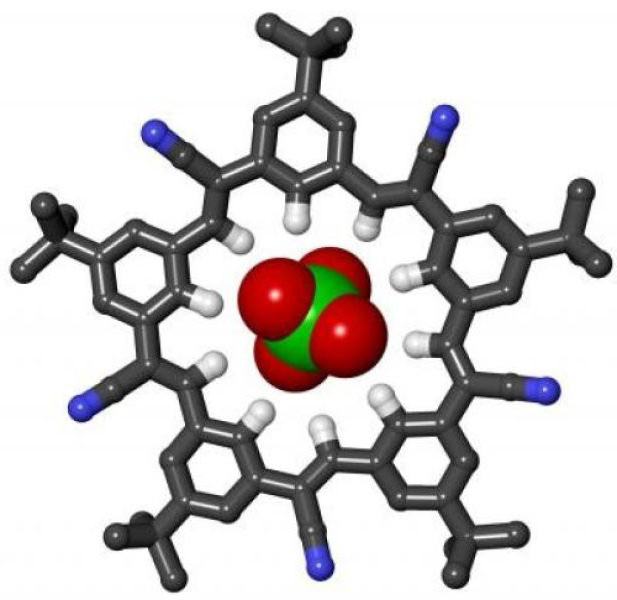 生物大分子