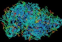 一分子是分子具有高分子重量。 配置的高分子