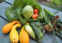 Boleto vegetais no inverno: receita de charcutaria (tomate e pepino, repolho e pimenta, além de outras opções)