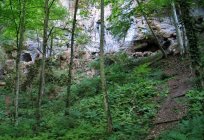Hadzhohskaya tasnina gorge (Kamennomostsky): leisure, description, location and photos