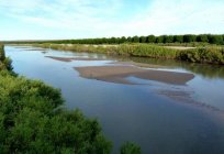 里约格朗德河流在北美洲：描述的、特征、照片