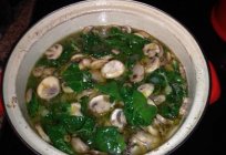 Wie viel Kochen Sie die Pilze für die Suppe bei der Verwendung von frischen, gefrorenen und getrockneten Rohstoffen