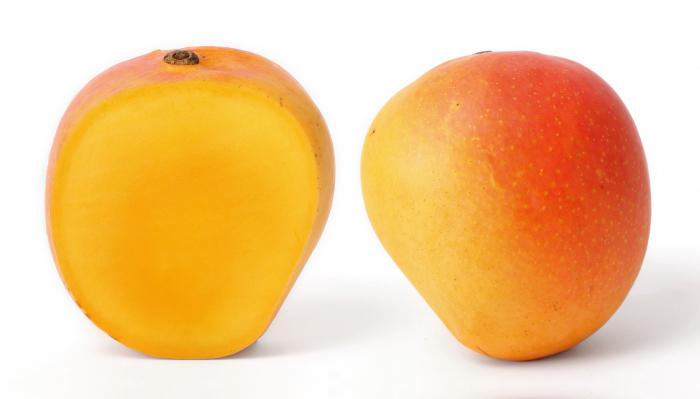 mango, fruta de la descripción de las plantas
