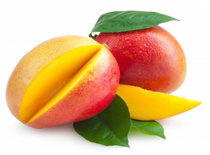 манго опис рослини