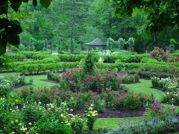дендрологические parques y jardines botánicos