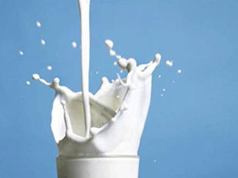 wo kaufen Sie laktosefreie Milch