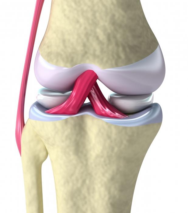 反应性膜炎的膝关节