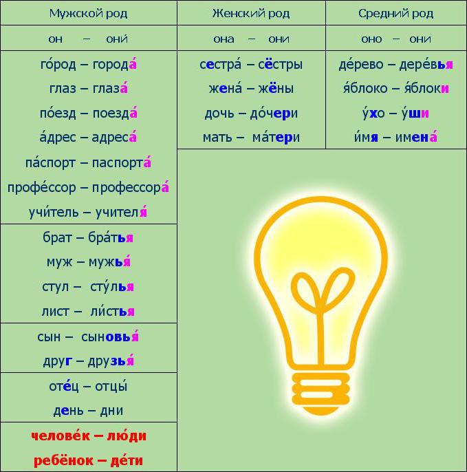 名词只有在复数的