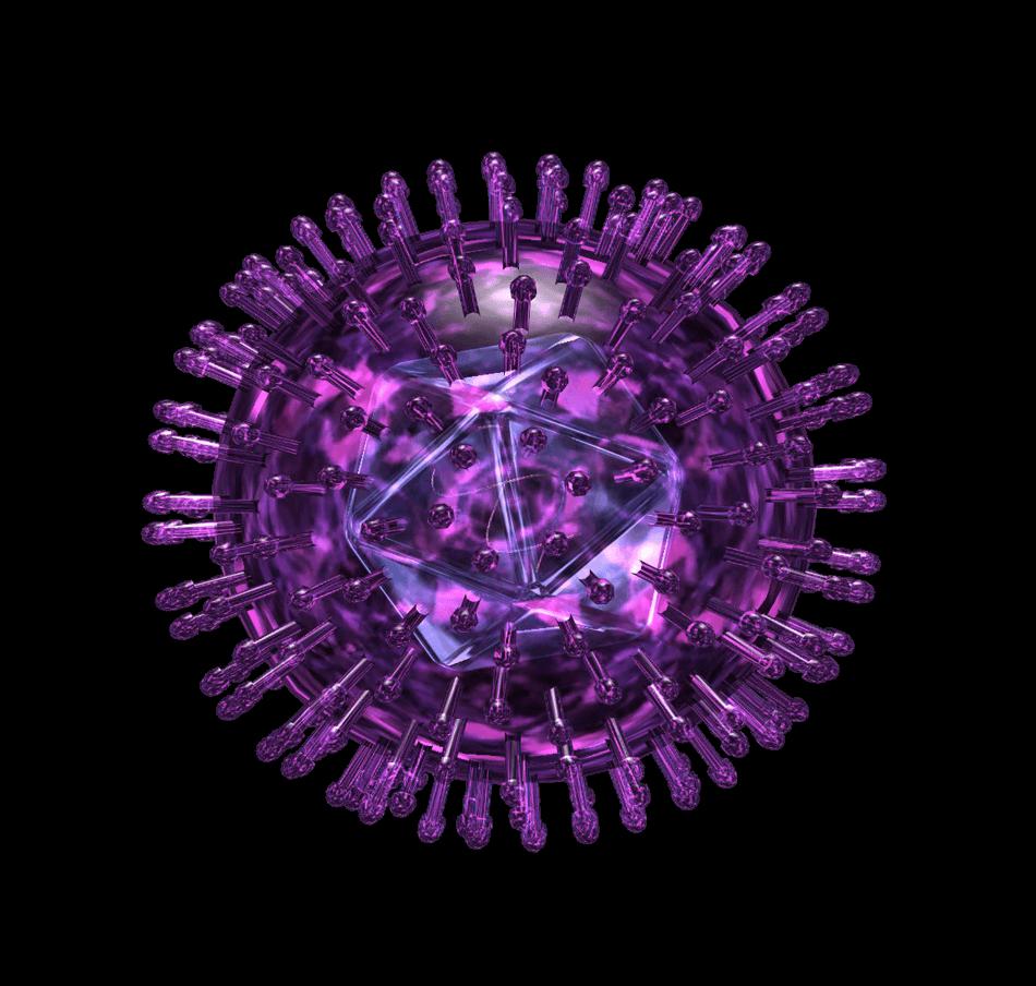 o vírus do herpes simples