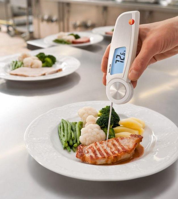 elektronisches Thermometer mit Fühler für Fleisch