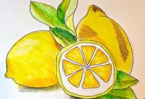 Як намалювати лимон: прості рекомендації і покрокові дії