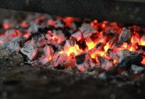 What kind of wood is best for barbecue: features selection and recommendations