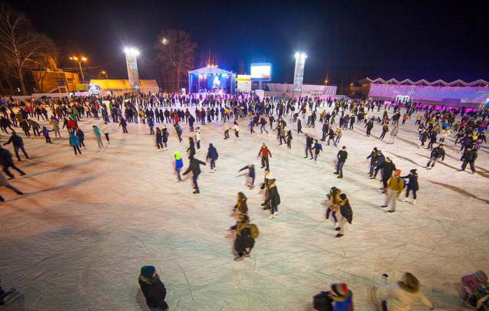 溜冰溜冰场中的索科尔尼基公园2014 2015年审查