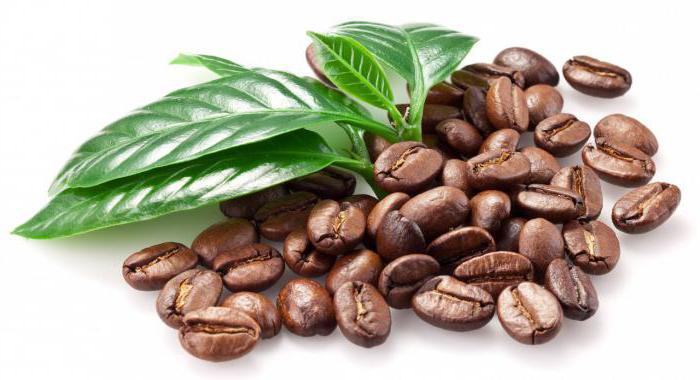 the Composition of coffee beans