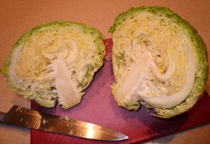 cabbage stewed in kindergarten