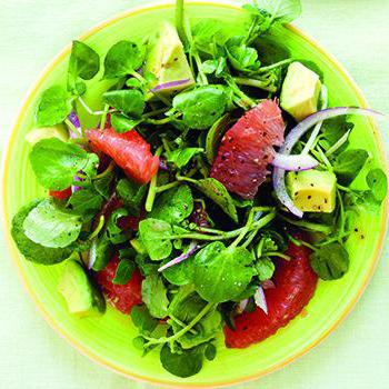 крес салат користь і шкода для здоров'я