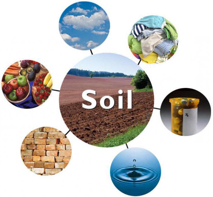 what is the importance of soil resources