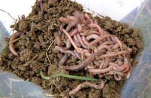 what are the features of soil resources