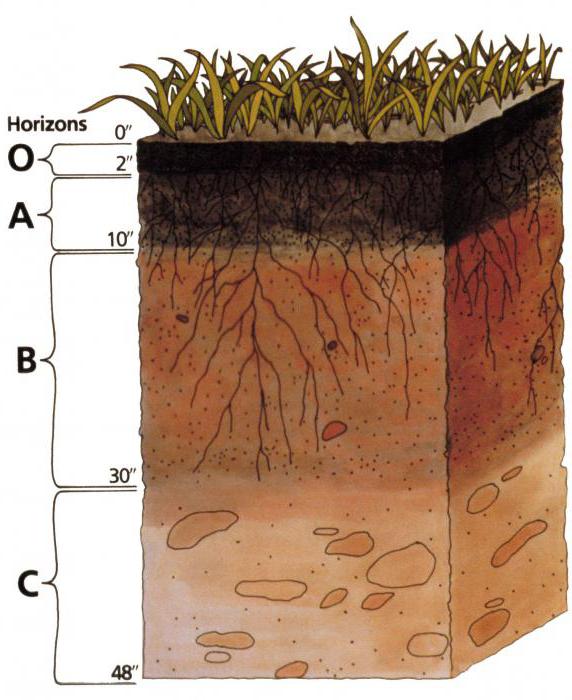 las características de los recursos del suelo