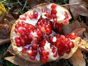 how to eat a pomegranate with seeds or without