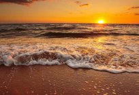 La costa meridional de crimea - donde es mejor relajarse? El examen, la descripción, las playas y comentarios de los turistas