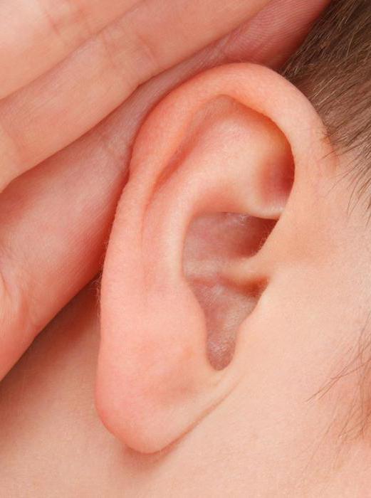 czy Można grzać ucho przy średnim ucha