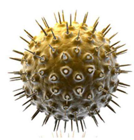 ein Retrovirus, Symptome und Behandlung