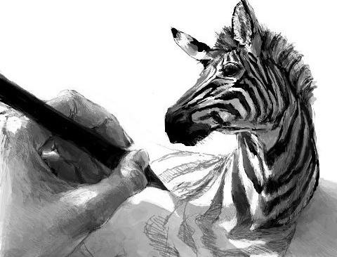 como desenhar uma zebra