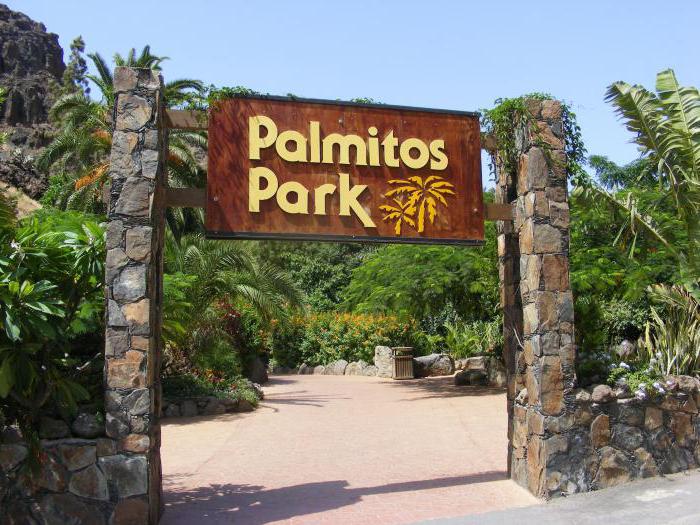  пальмитос parque 