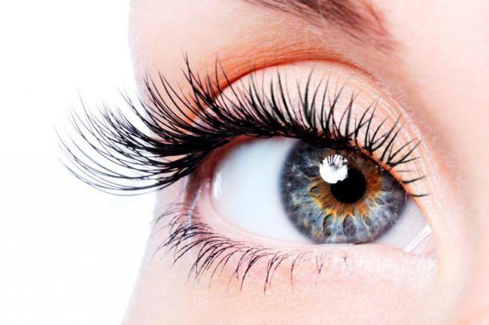 elma oil for eyelashes and eyebrows reviews