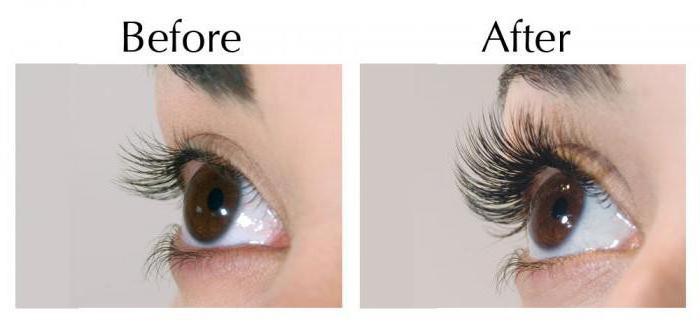elma oil for eyelashes and eyebrows testimonials photos