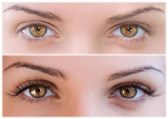 elma oil for eyelashes and eyebrows reviews the composition
