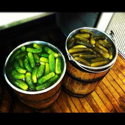 Pickling cucumbers cold brine