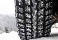 Quais pneus de inverno para a melhor: visão geral do produto de fabricantes de renome