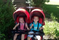 Strollers for twins: models, description, tips for choosing. Strollers for twins 3 in 1