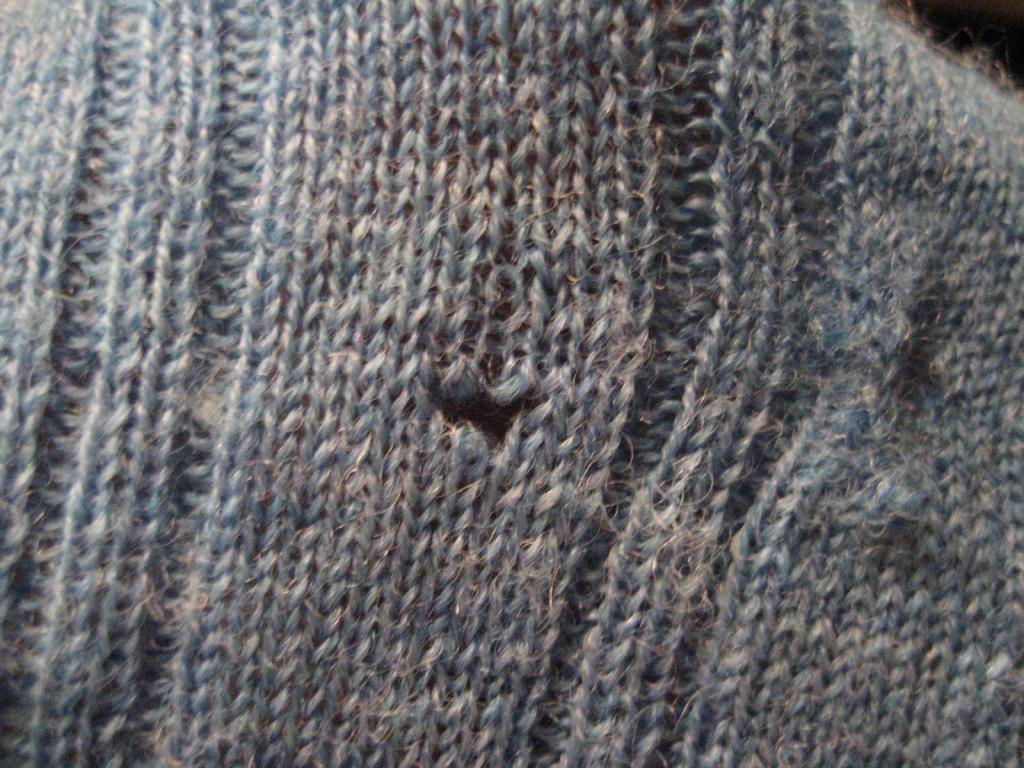 Kret zrobiła dziurę w swetrze