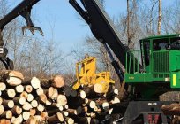 林业设备：类型和操作