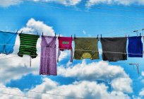 Die besten Waschpulver: Bewertungen, Bewertungen. Koreanische Waschpulver: Meinungen