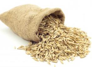 how to help the oats for the treatment of pancreas