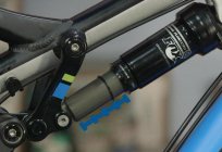 Creaking rear shock on the bike: what to do?