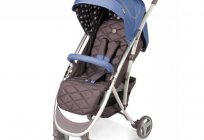 La silla de paseo Happy Baby Eleganzza: los clientes y la descripción de