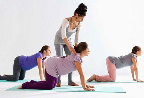 pregnancy yoga classes