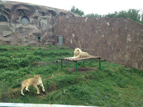 Zoo Almaty Betriebsart