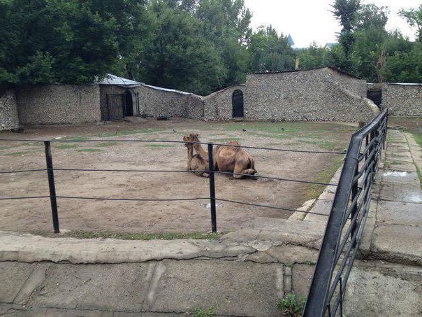 Zoo in Almaty Foto