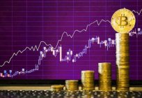 Trade bitcoins on the stock exchange: strategies, training