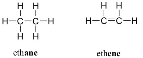 从烷烃醇