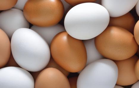 composição de ovo de galinha ovos