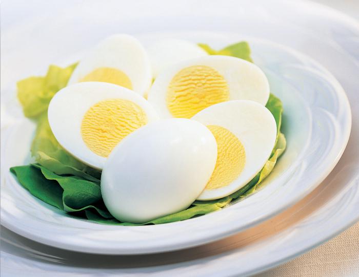 protein bileşimi tavuk yumurta