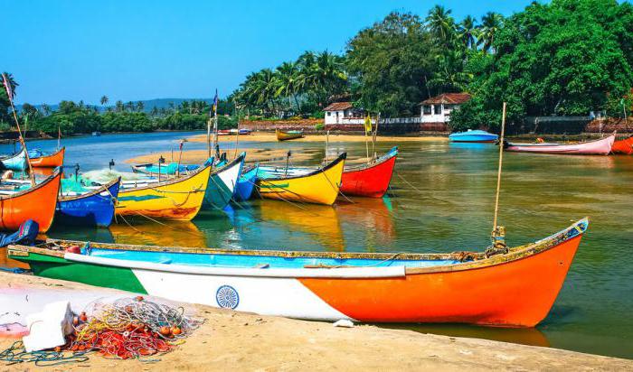 印度果阿的酒店，拜克resort goa